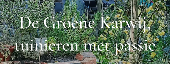 groenekarwij – logo