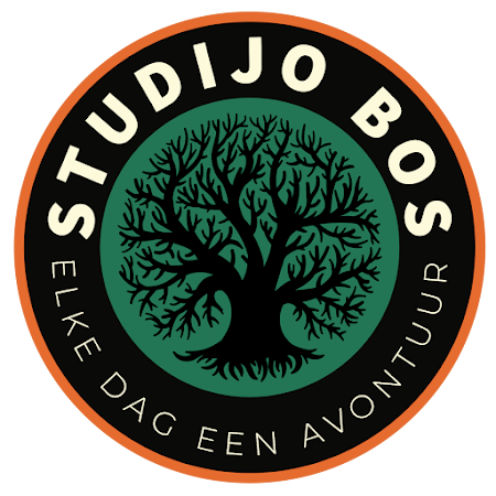 studijo bos – logo